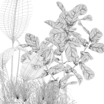 20 Photorealistic Flowers for Interiors - set 120 121 129 130