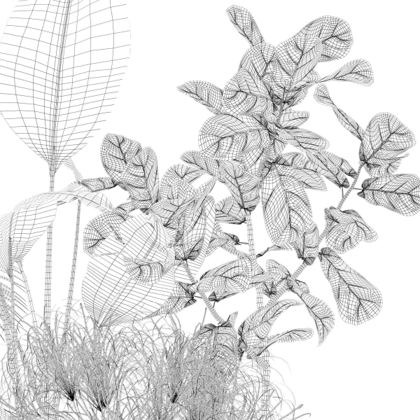 20 Photorealistic Flowers for Interiors - set 120 121 129 130