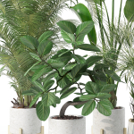 20 Photorealistic Flowers for Interiors - set 120 121 129 130