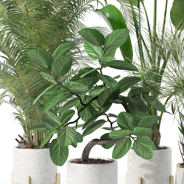 20 Photorealistic Flowers for Interiors - set 120 121 129 130