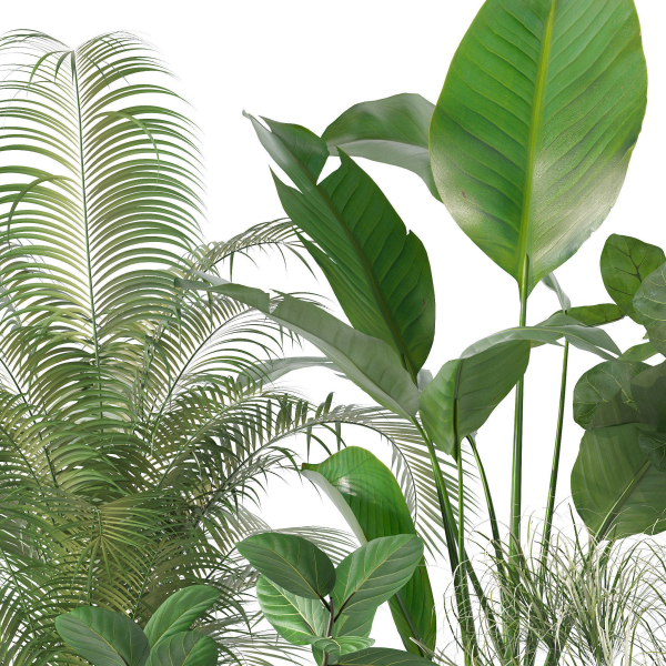 20 Photorealistic Flowers for Interiors - set 120 121 129 130