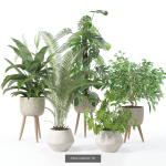 20 Photorealistic Flowers for Interiors - set 120 121 129 130