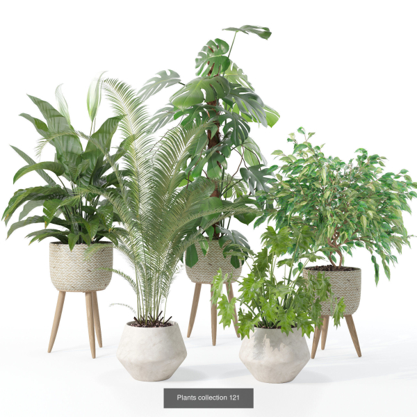 20 Photorealistic Flowers for Interiors - set 120 121 129 130