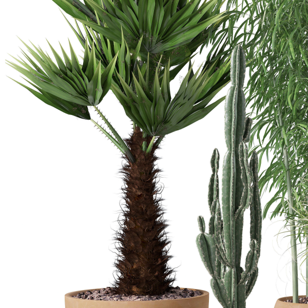 20 Photorealistic Flowers for Interiors - set 120 121 129 130