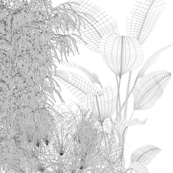 20 Photorealistic Flowers for Interiors - set 120 121 129 130