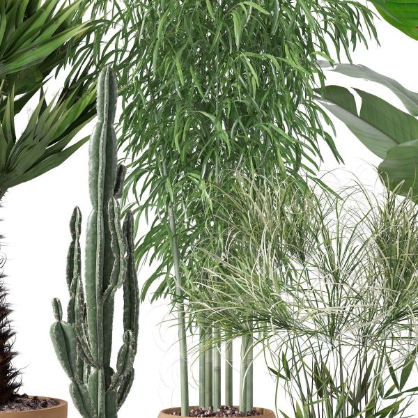 20 Photorealistic Flowers for Interiors - set 120 121 129 130