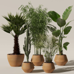 20 Photorealistic Flowers for Interiors - set 120 121 129 130