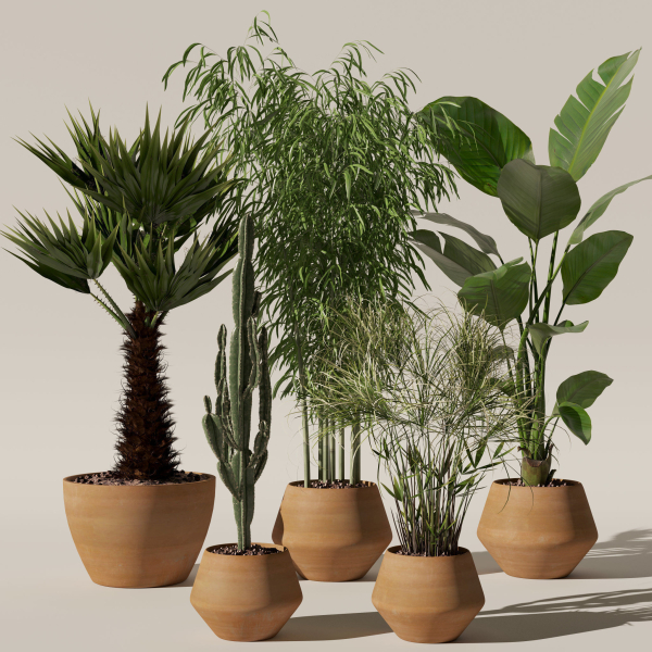 20 Photorealistic Flowers for Interiors - set 120 121 129 130