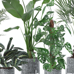 20 Photorealistic Flowers for Interiors - set 120 121 129 130