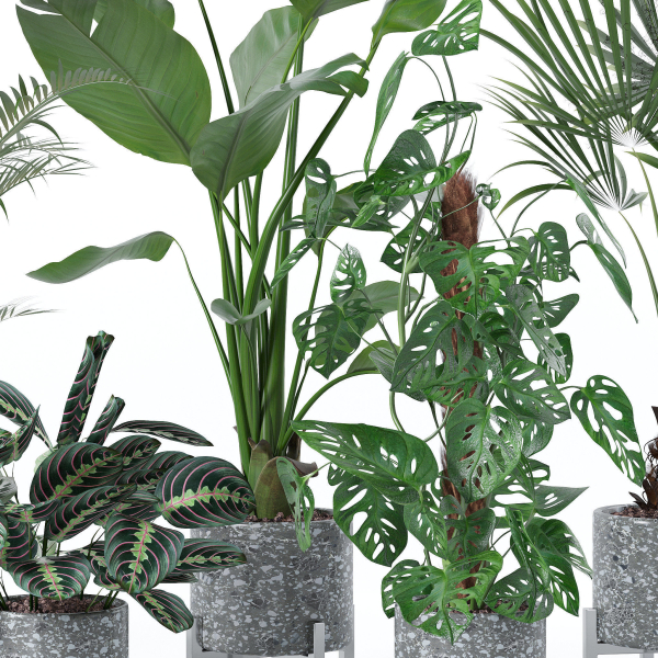20 Photorealistic Flowers for Interiors - set 120 121 129 130