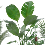 20 Photorealistic Flowers for Interiors - set 120 121 129 130