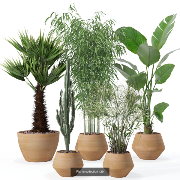 20 Photorealistic Flowers for Interiors - set 120 121 129 130