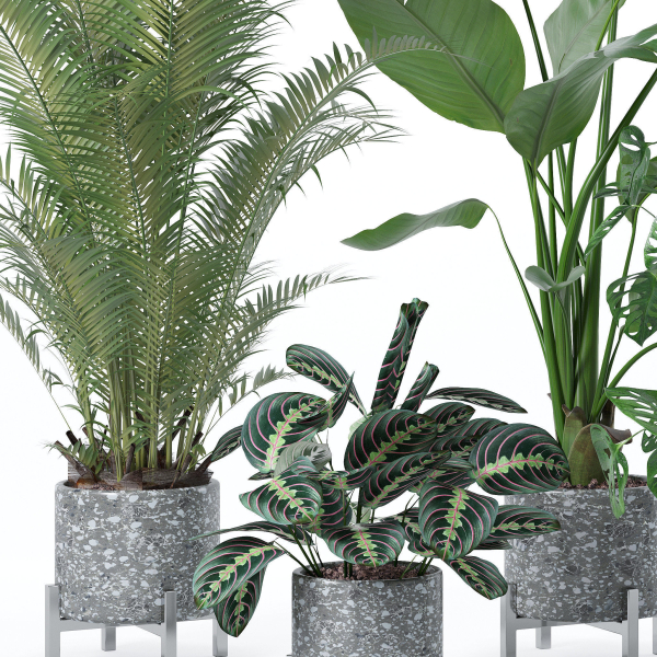 20 Photorealistic Flowers for Interiors - set 120 121 129 130