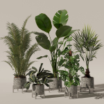 20 Photorealistic Flowers for Interiors - set 120 121 129 130