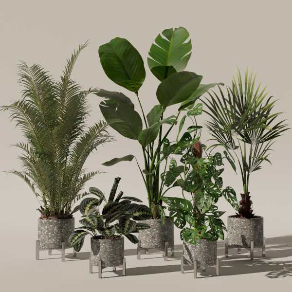 20 Photorealistic Flowers for Interiors - set 120 121 129 130
