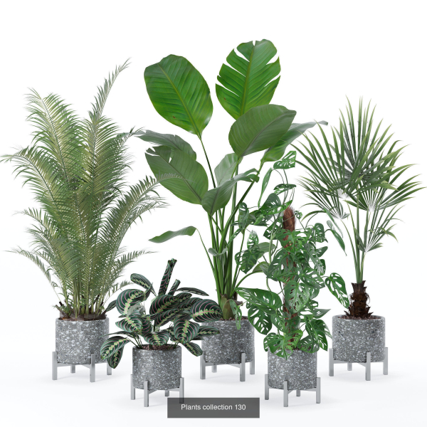 20 Photorealistic Flowers for Interiors - set 120 121 129 130