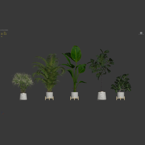 20 Photorealistic Flowers for Interiors - set 120 121 129 130