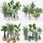 20 Photorealistic Flowers for Interiors - set 120 121 129 130