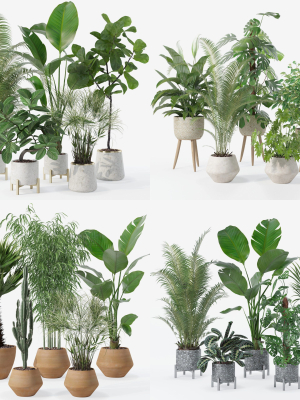 20 Photorealistic Flowers for Interiors - set 120 121 129 130