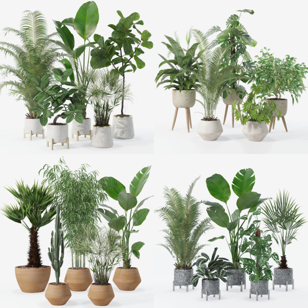 20 Photorealistic Flowers for Interiors - set 120 121 129 130