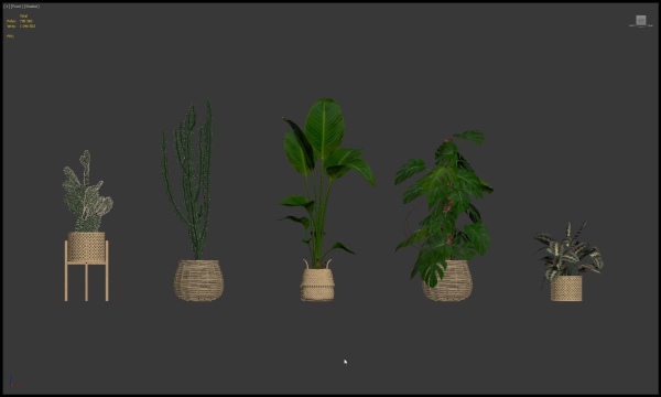 20 Photorealistic Flowers for Interiors - set 204 209 211 213