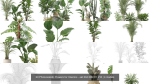 20 Photorealistic Flowers for Interiors - set 204 209 211 213