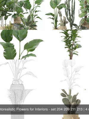 20-photorealistic-flowers-for-interiors-set-204-209-211-213-3d-model-26a7e00a07
