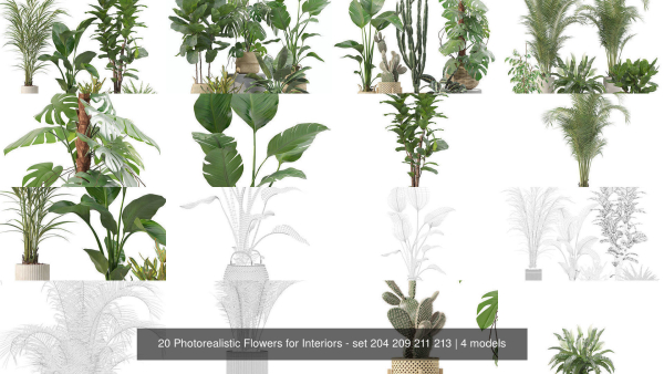 20 Photorealistic Flowers for Interiors - set 204 209 211 213