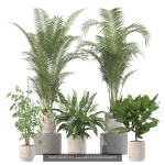 20 Photorealistic Flowers for Interiors - set 204 209 211 213