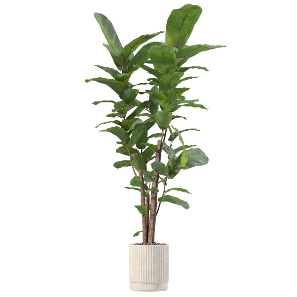 20 Photorealistic Flowers for Interiors - set 204 209 211 213