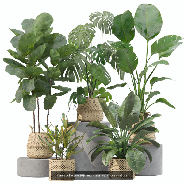 20 Photorealistic Flowers for Interiors - set 204 209 211 213