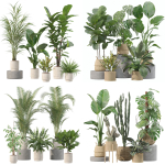 20 Photorealistic Flowers for Interiors - set 204 209 211 213