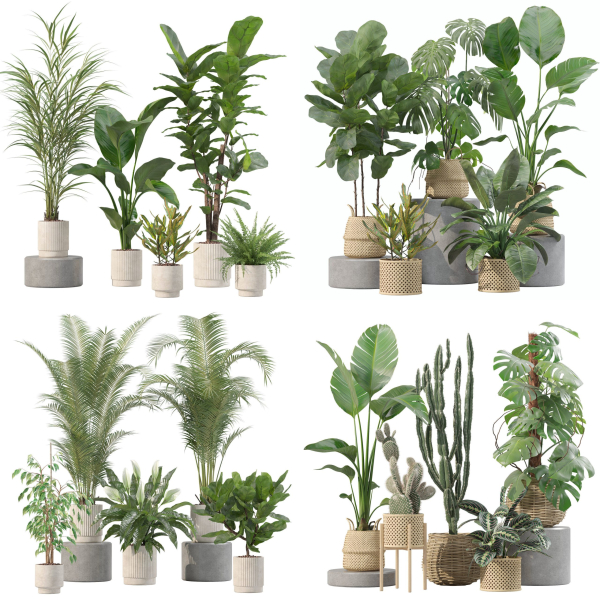 20 Photorealistic Flowers for Interiors - set 204 209 211 213