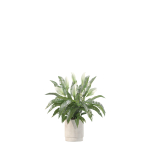 20 Photorealistic Flowers for Interiors - set 204 209 211 213
