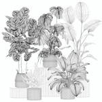 20 Photorealistic Flowers for Interiors - set 204 209 211 213