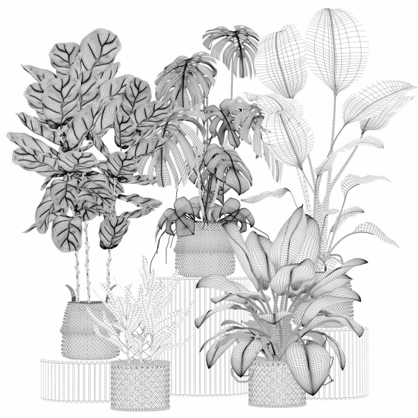 20 Photorealistic Flowers for Interiors - set 204 209 211 213