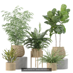20 Photorealistic Flowers for Interiors - set 204 209 213 214