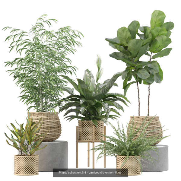 20 Photorealistic Flowers for Interiors - set 204 209 213 214