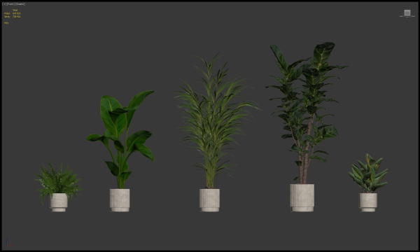 20 Photorealistic Flowers for Interiors - set 204 209 213 214