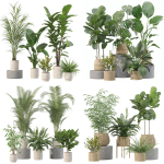 20 Photorealistic Flowers for Interiors - set 204 209 213 214