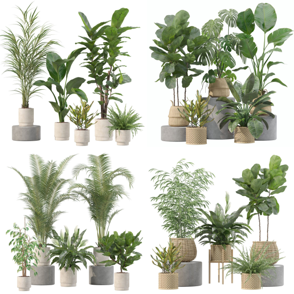 20 Photorealistic Flowers for Interiors - set 204 209 213 214