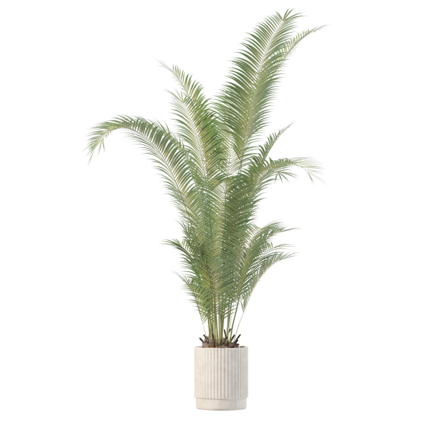 20 Photorealistic Flowers for Interiors - set 204 209 213 214