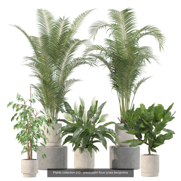 20 Photorealistic Flowers for Interiors - set 204 209 213 214