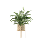 20 Photorealistic Flowers for Interiors - set 204 209 213 214