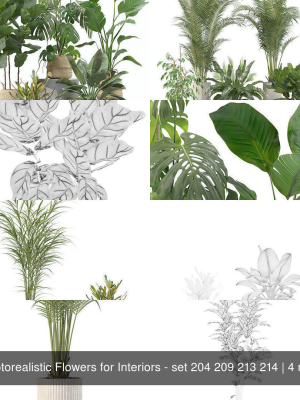 20-photorealistic-flowers-for-interiors-set-204-209-213-214-3d-model-f3b63ed3a8