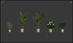 20 Photorealistic Flowers for Interiors - set 204 211 213 219