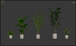 20 Photorealistic Flowers for Interiors - set 204 211 213 219
