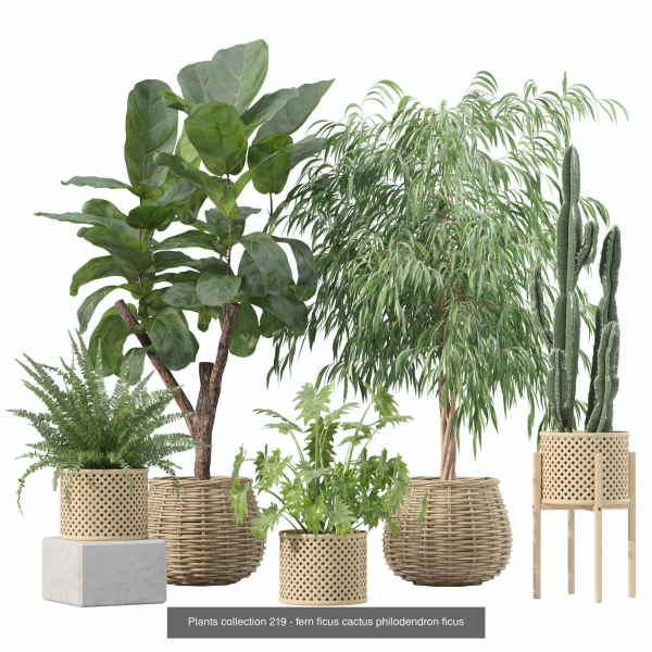 20 Photorealistic Flowers for Interiors - set 204 211 213 219