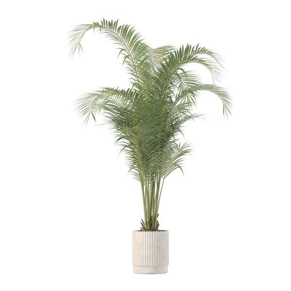 20 Photorealistic Flowers for Interiors - set 204 211 213 219