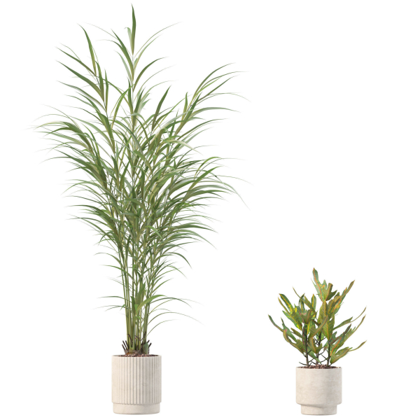 20 Photorealistic Flowers for Interiors - set 204 211 213 219